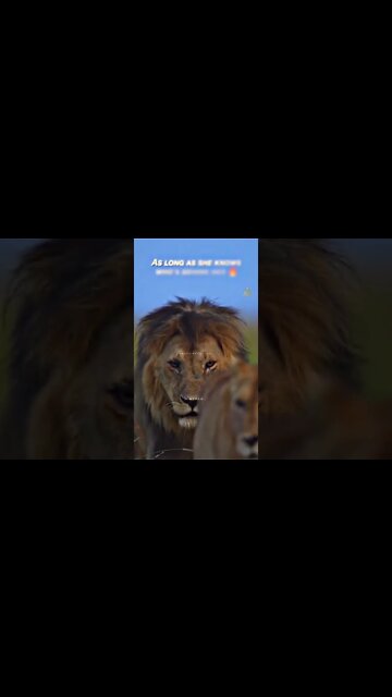 no words just "Tag" ♥️😌 #fyp #motivation #motivationalvideo #trending #quotes