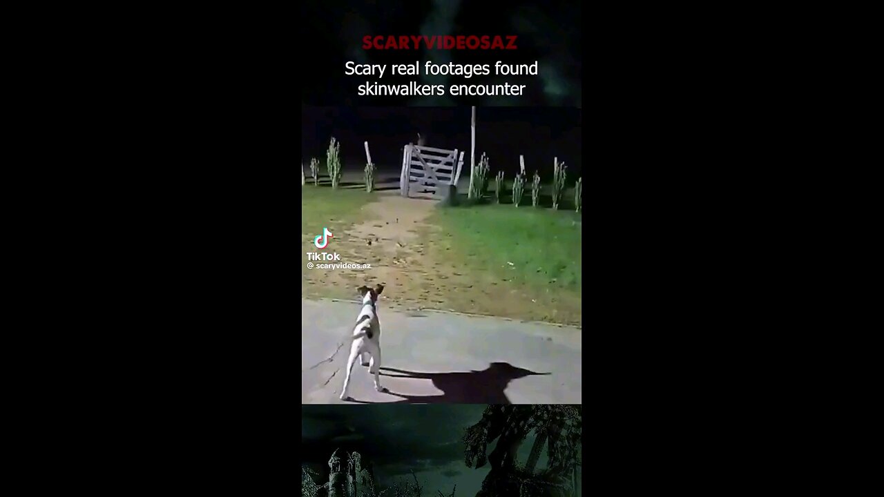 Scary real footage