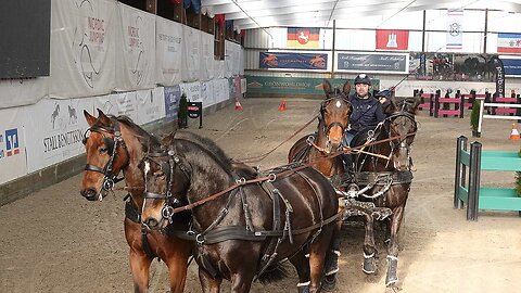 Vierspänner Weltklasse-Trio in Negernbötel