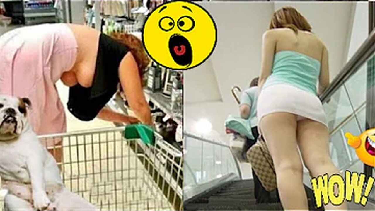 Random Funny Videos |Try Not To Laugh Compilation | Cute People And Animals Doing Funny Things