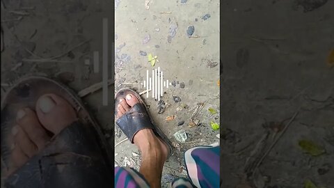 জোক এখানে #জোক