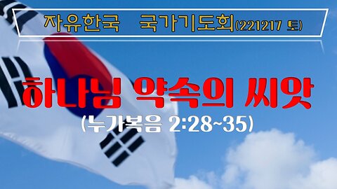 하나님 약속의 씨앗(눅2:28~35) (221217 토) [자유한국 국가기도회] 대표 김시환 목사 * 남철희 장로 인도