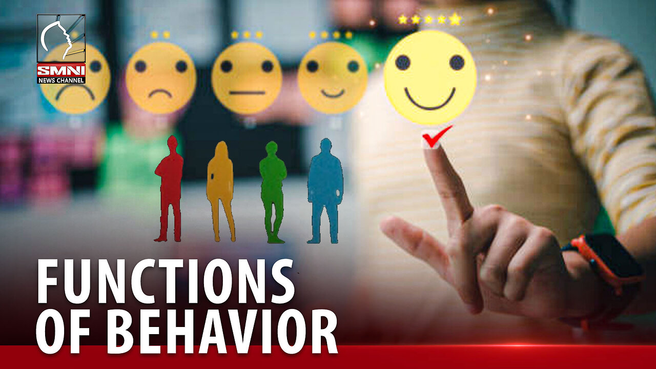 The four predominant functions of behaviour