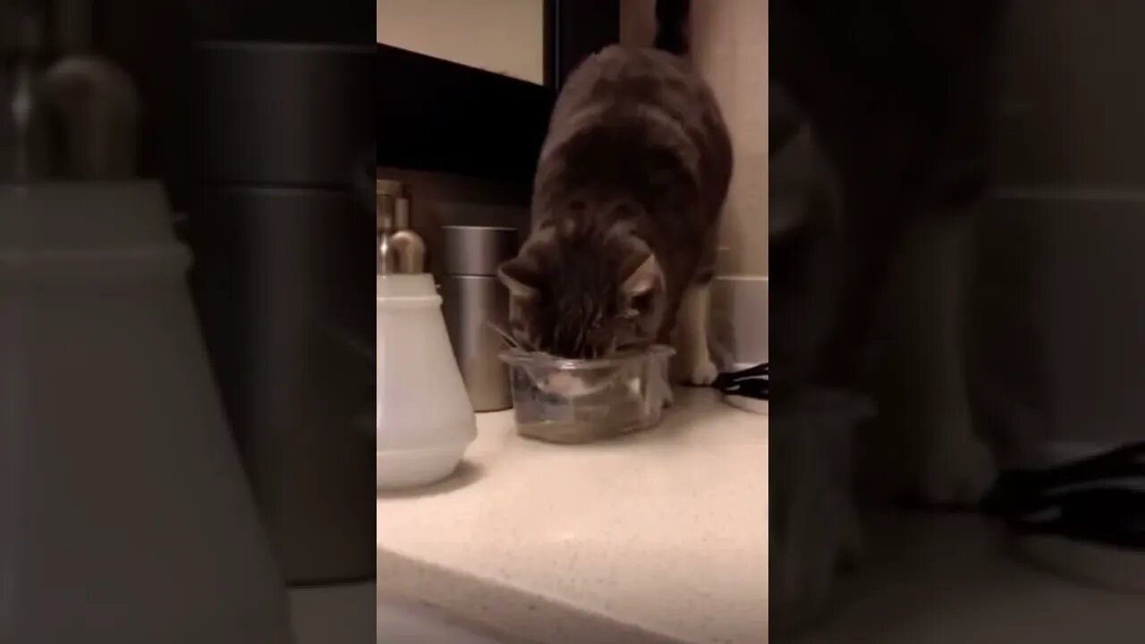 Derpy Meets Thirsty