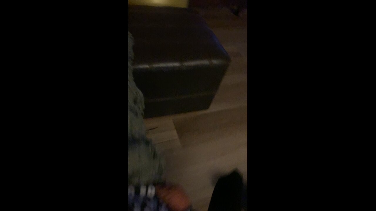 Coco the chihuahua snorefest