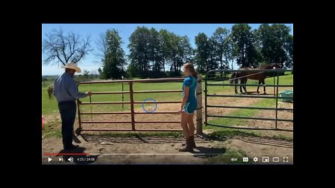 Discussing & Evaluating Ryan Rose Helping With Food Aggressive Horses - Part 2 of 3