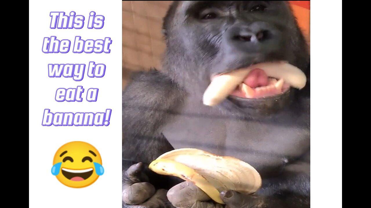 This is the best way to eat a banana! 😄