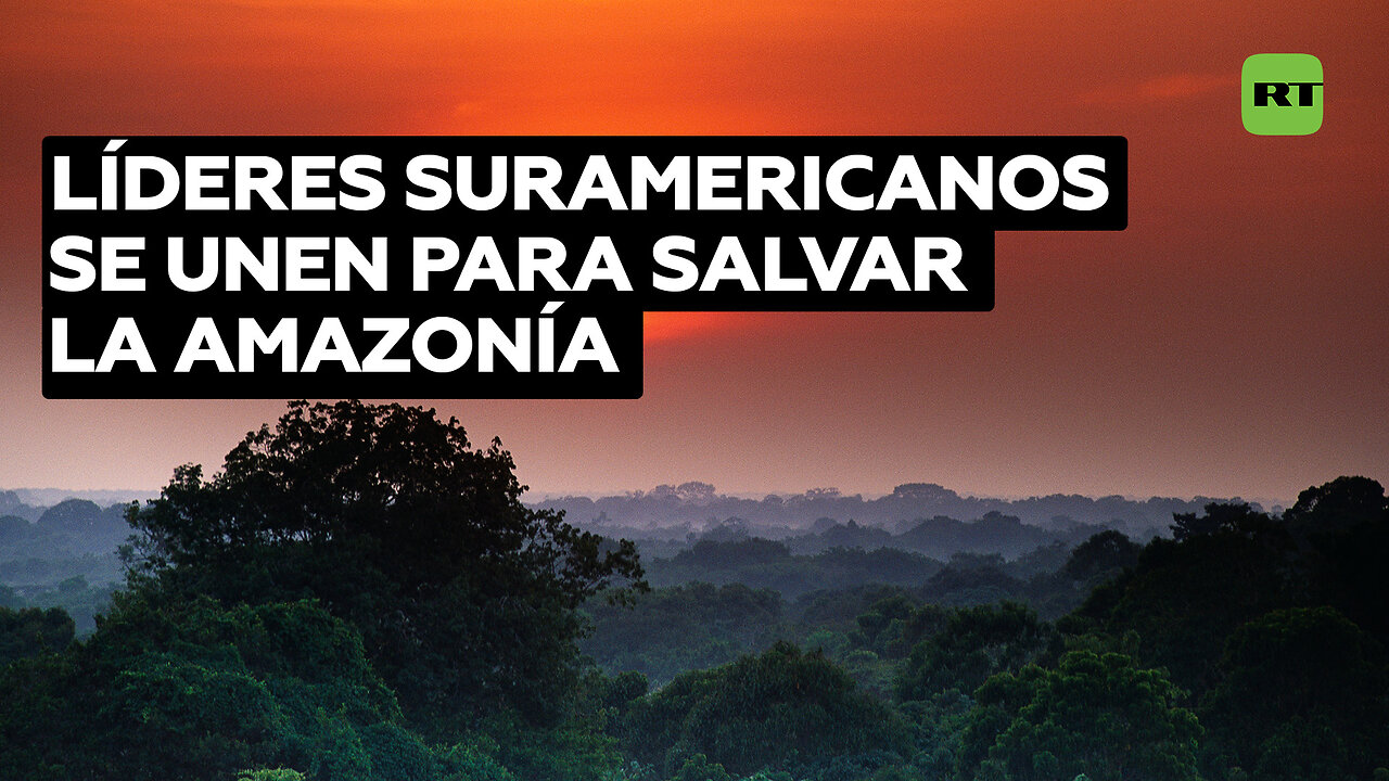 Cumbre Amazónica busca proteger y reforestar la Amazonía