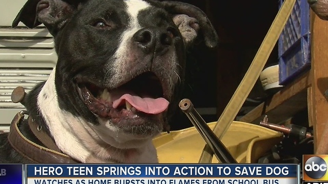 Teen springs into action to save dog from burning home