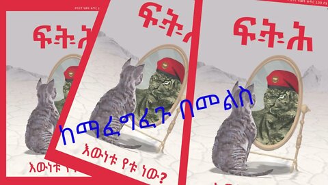 Ethio 360 Biruk Yibas Tireka ከማፈግፈጉ በመለስ ከፍትህ መጽሔት የተወሰደ mp4