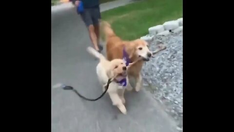 Branch Manager and Assistant Branch Manager