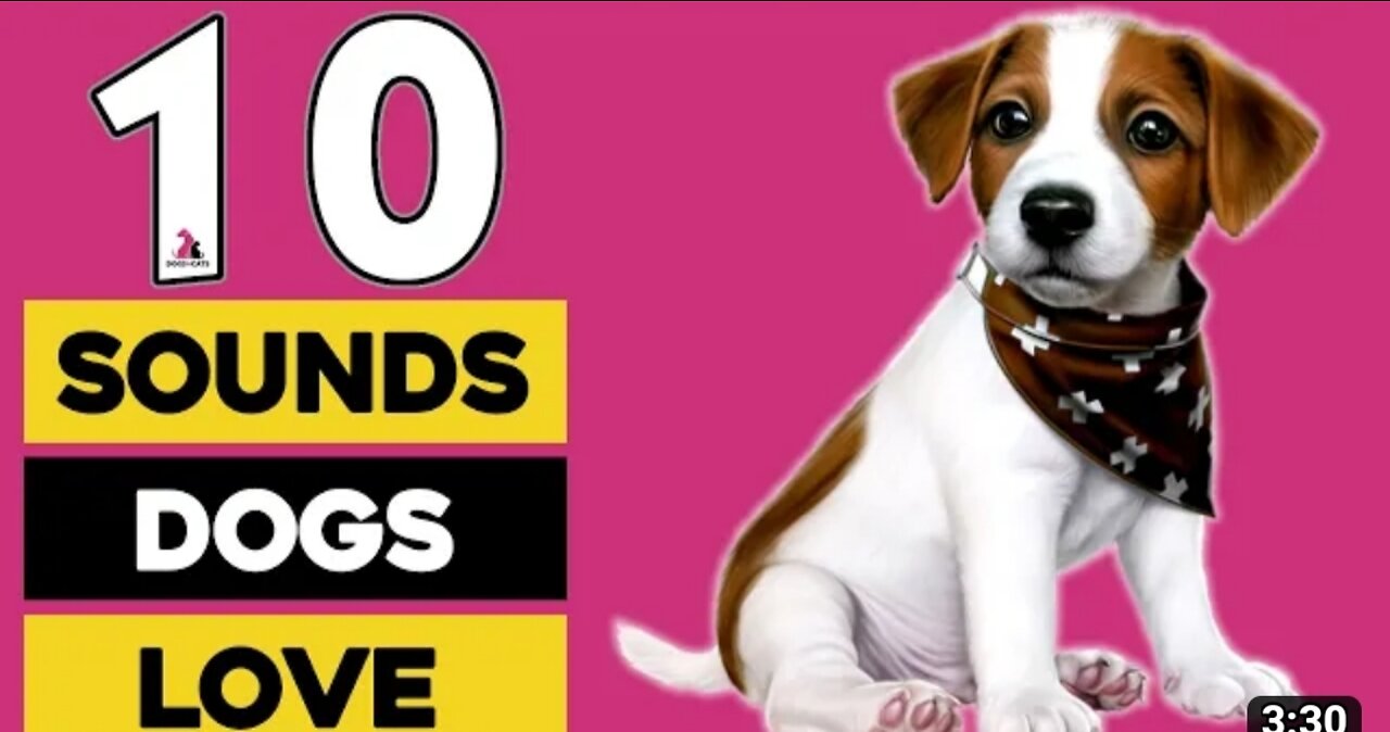 10 top sound dogs loves