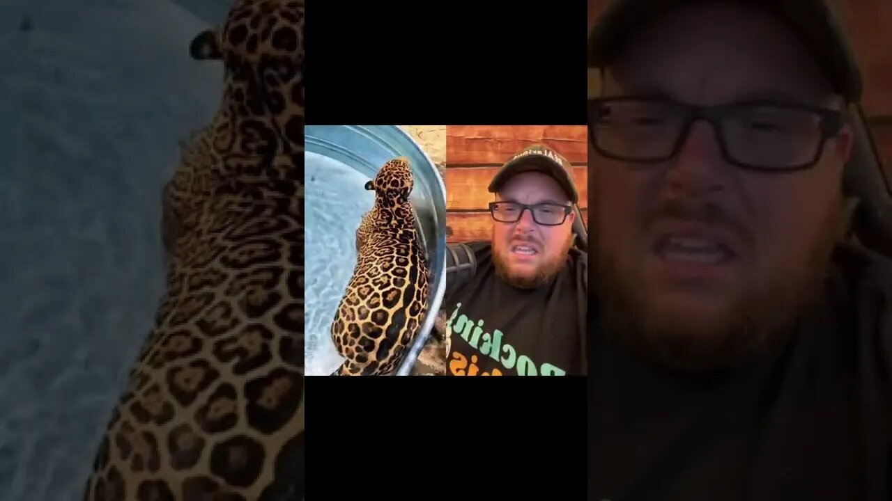 Here’s Your Dose Of REALarious…🤣🤣🤣 with @Tacofficially