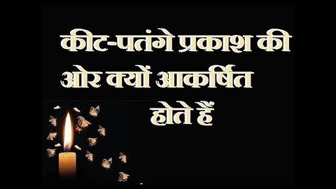 कीट पतंगे प्रकाश के स्त्रोत के आसपास क्यों मंडराने लगते हैं