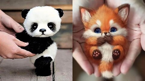 10 cute baby animals😚😘🥰😚