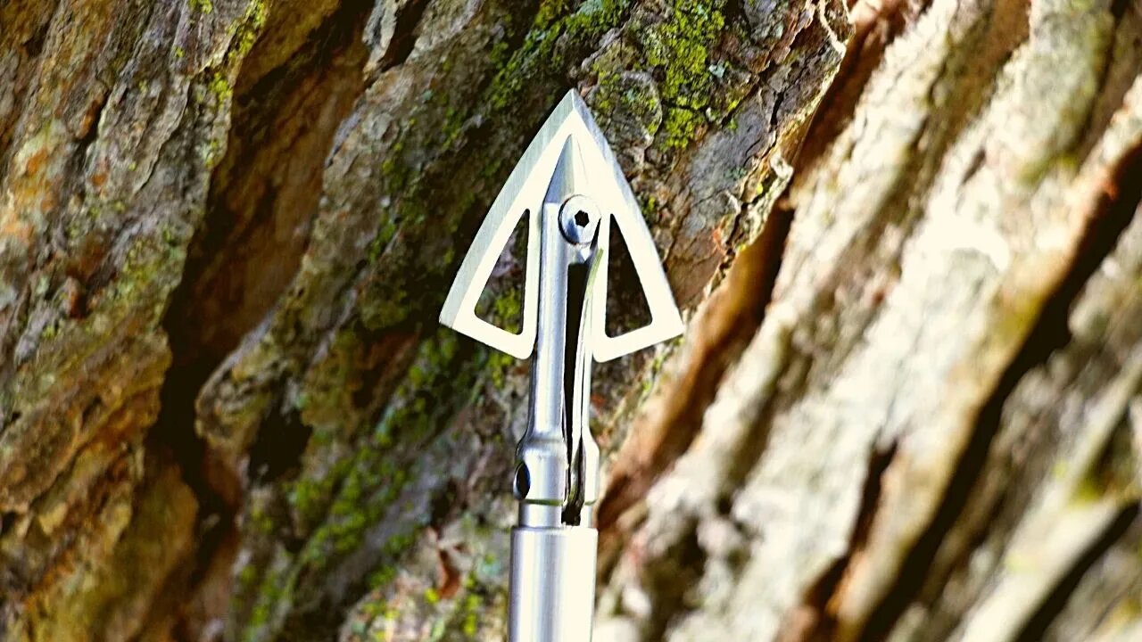 Bloodsport Gravedigger Broadhead Review