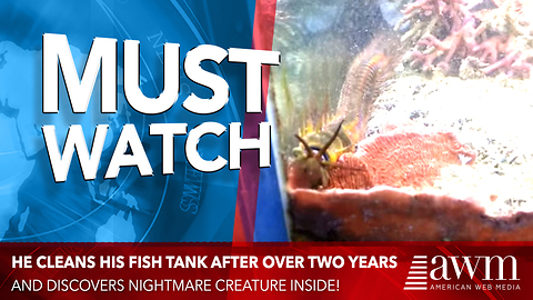 He Decided To Finally Clean Fish Tank After 2 Years, Leads to Unsettling Discovery