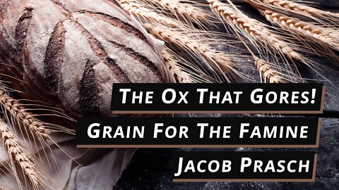 The Ox That Gores! - Jacob Prasch