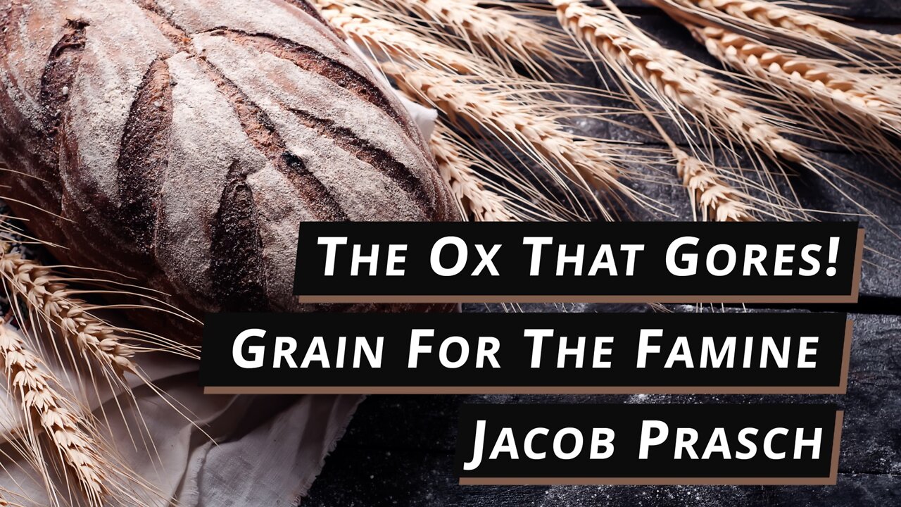 The Ox That Gores! - Jacob Prasch
