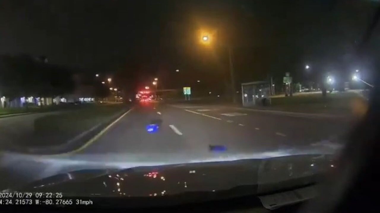 A Group Of People Find A Box Of Ballots In The Middle Of The Turnpike In Florida