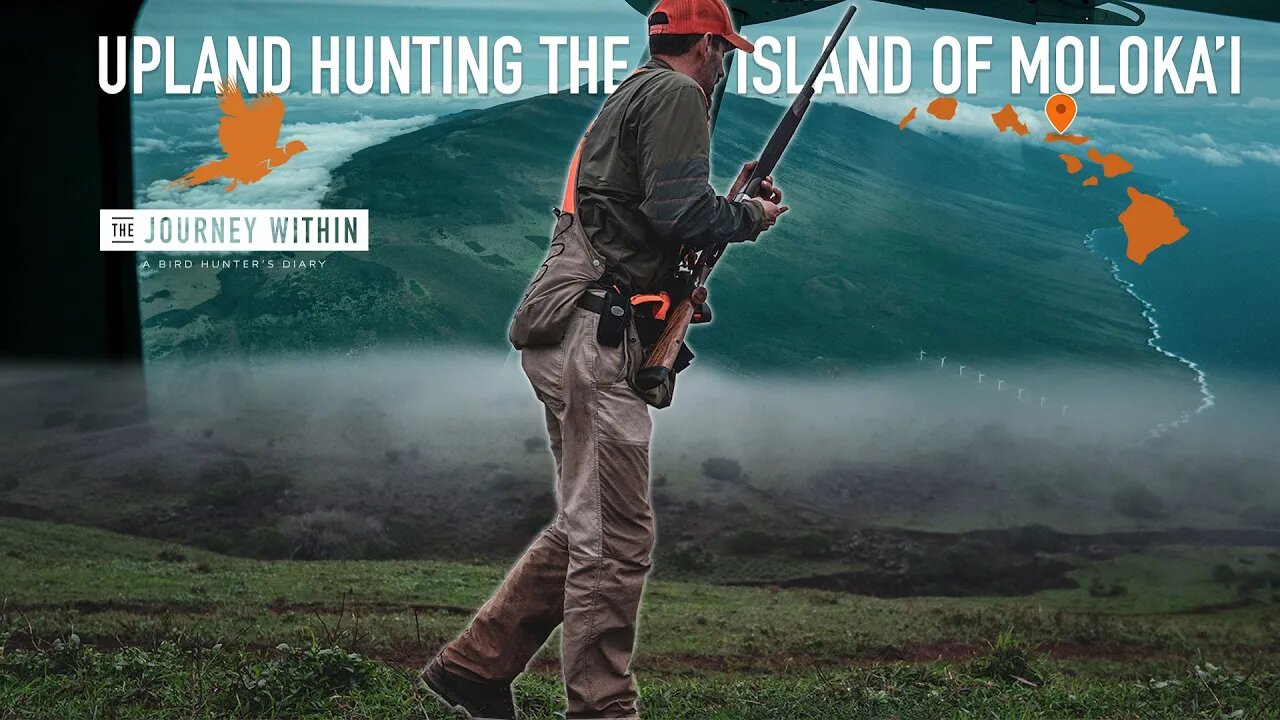 Upland Hunting Hawaii's Moloka'i Island: The Journey Within - A Bird Hunter's Diary | Mark Peterson