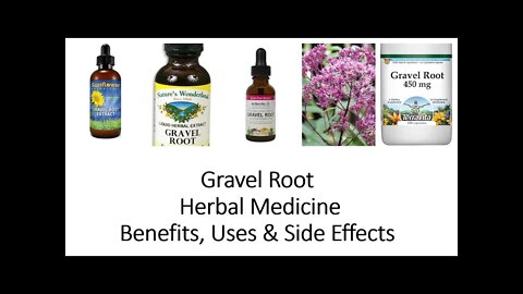 Gravel Root - Herbal Medicine - Benefits, Uses & Side Effects