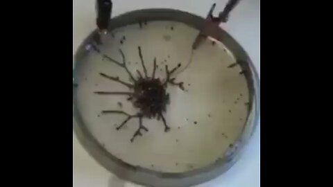 Graphene Oxide