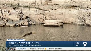 Arizona water cuts