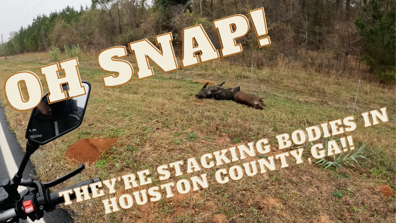 They're Stacking Bodies in Houston Co.,GA!