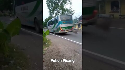 Bus Bidiman Tujuan Pangandaran