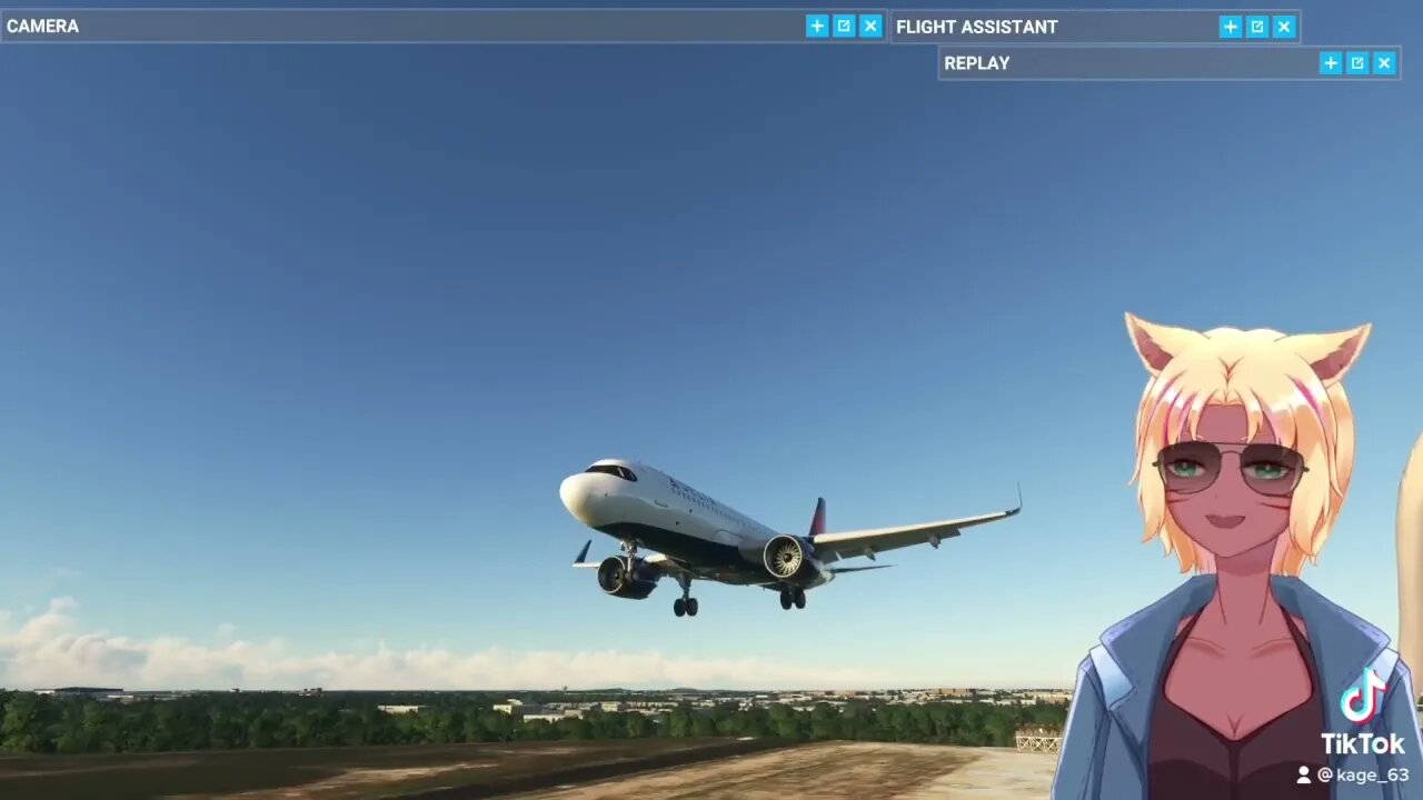 C[_]A Neko-vtuber lands a plane! [_]D