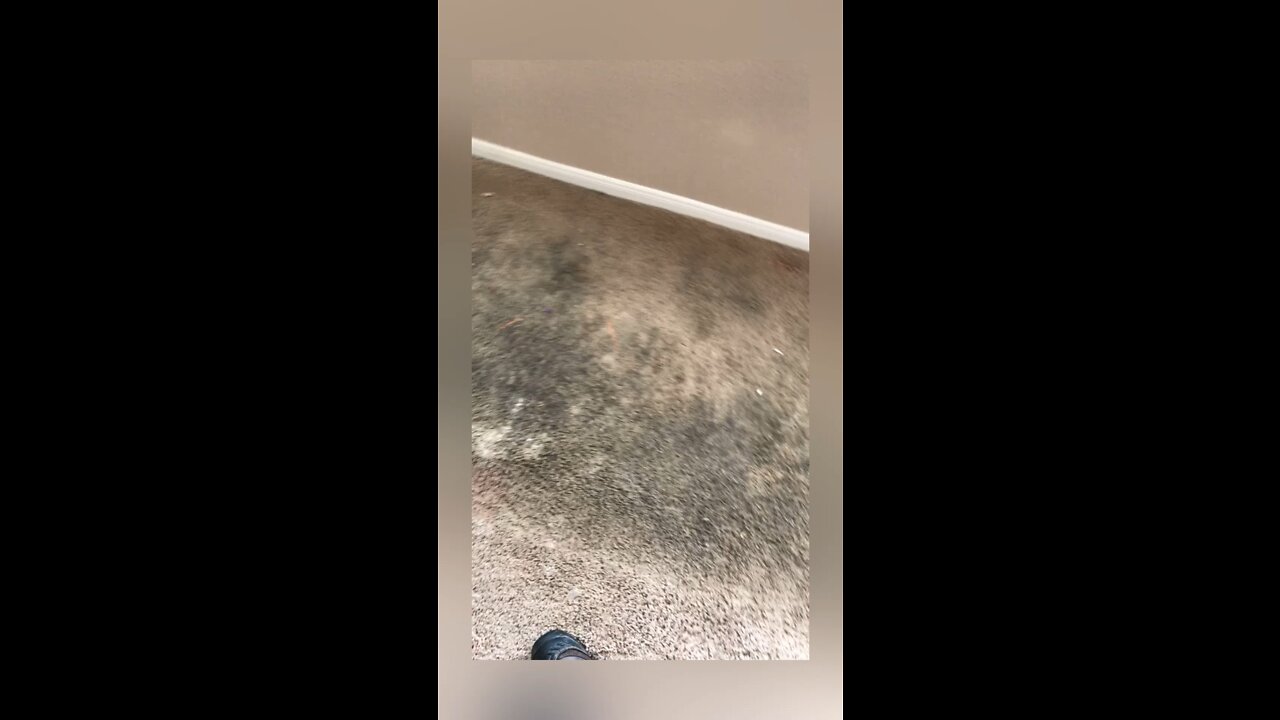 Carpet cleaning