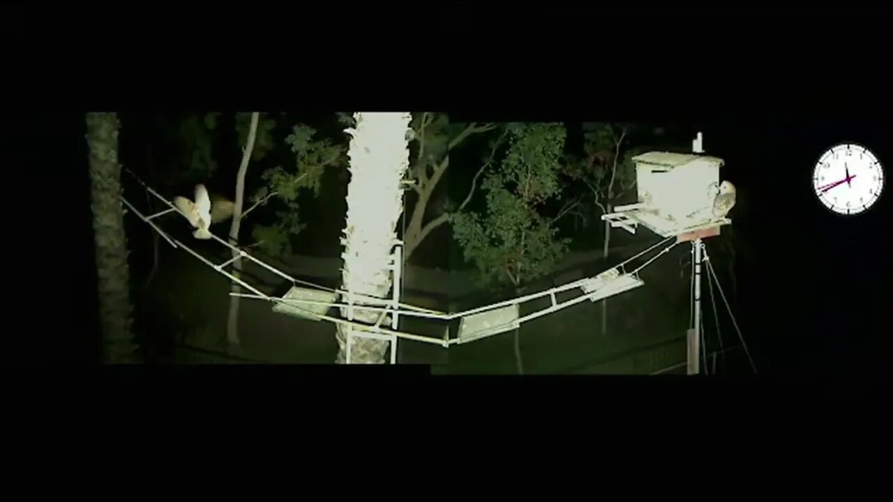 Not much action last night. Olivia comes home alone. 6-1-22