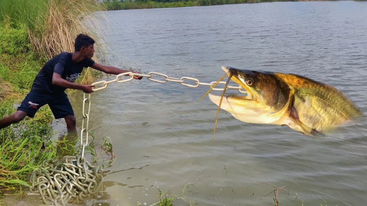 Village Fishing Exciting Traditional Amazing Boy Big Fishing By Chicken & Hook Incredible Fish Catch