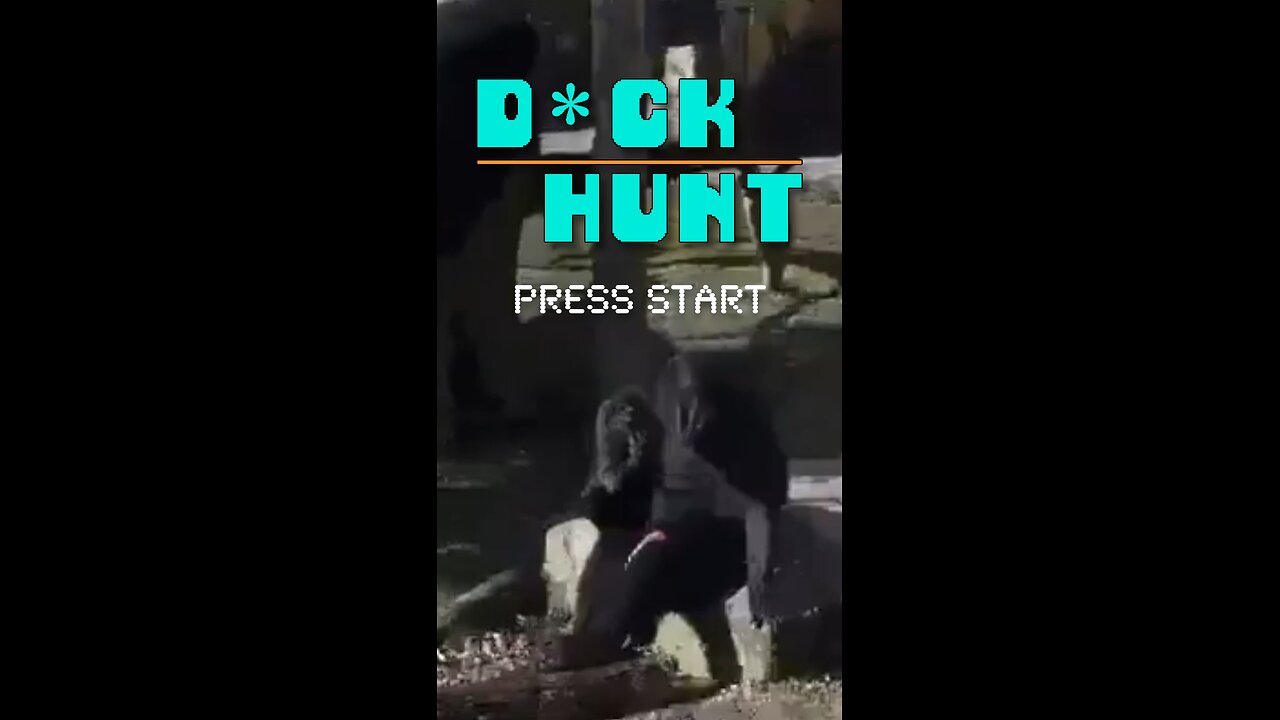 Duck Hunt Sequel Looks Lit 🦆