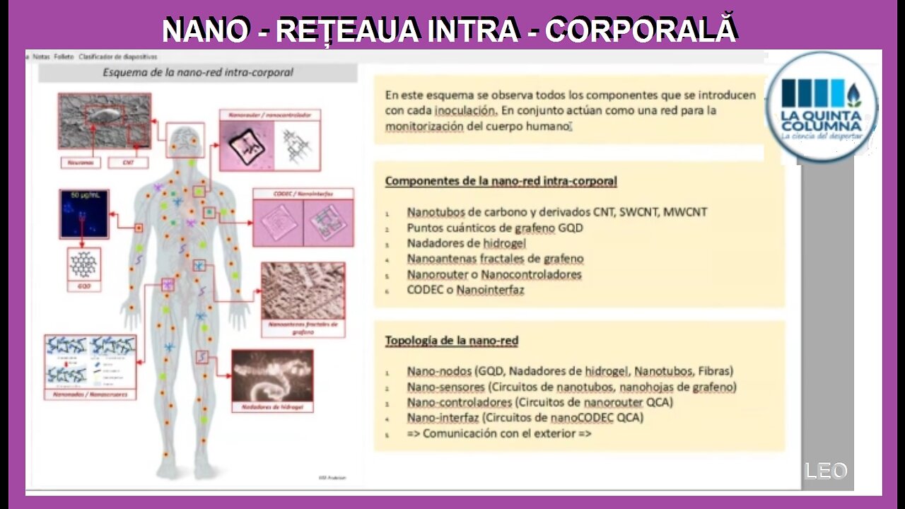 NANO - RETEAUA INTRA - CORPORALA