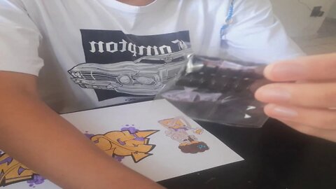 [BRPSB/PSB] *UNBOXING DA BRASIL PEN SPINNING* - By: Multini !