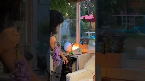 Ready for a glimpse into my typical evening? Video goes live tomorrow.￼ #routine