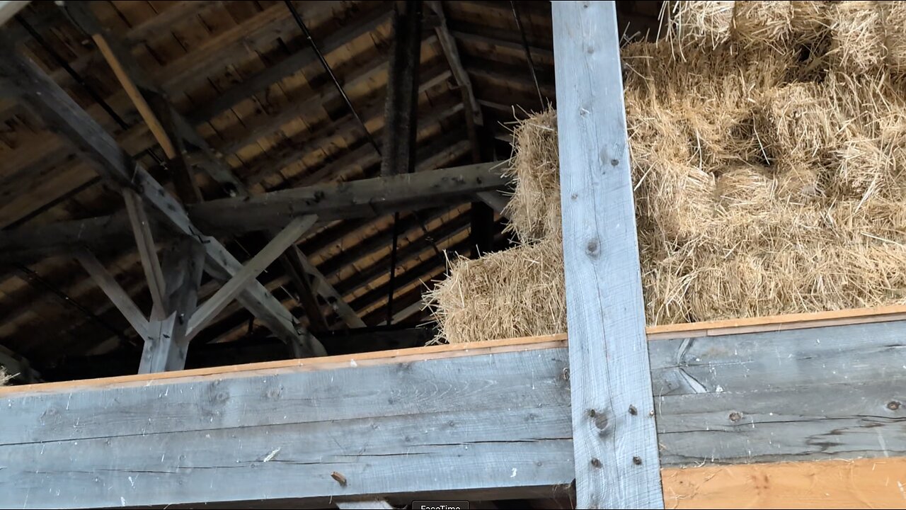 Prophetic Pictures At Western Maine 1920's Farm . . . Can You Discern What Yah Is Prophetically Communicating In This Video??? (Horse Scratches His Back, Chickens Cluck, Cute Goats Bleat)