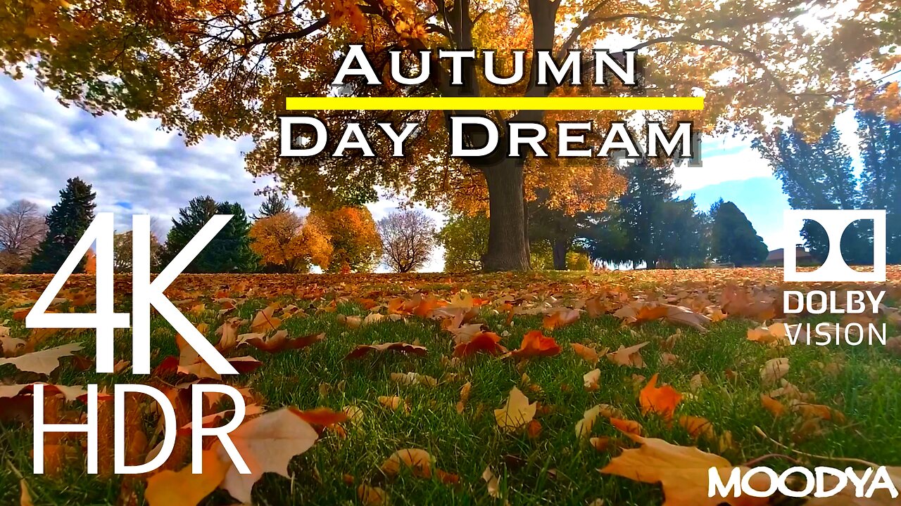 My Autumn DayDream