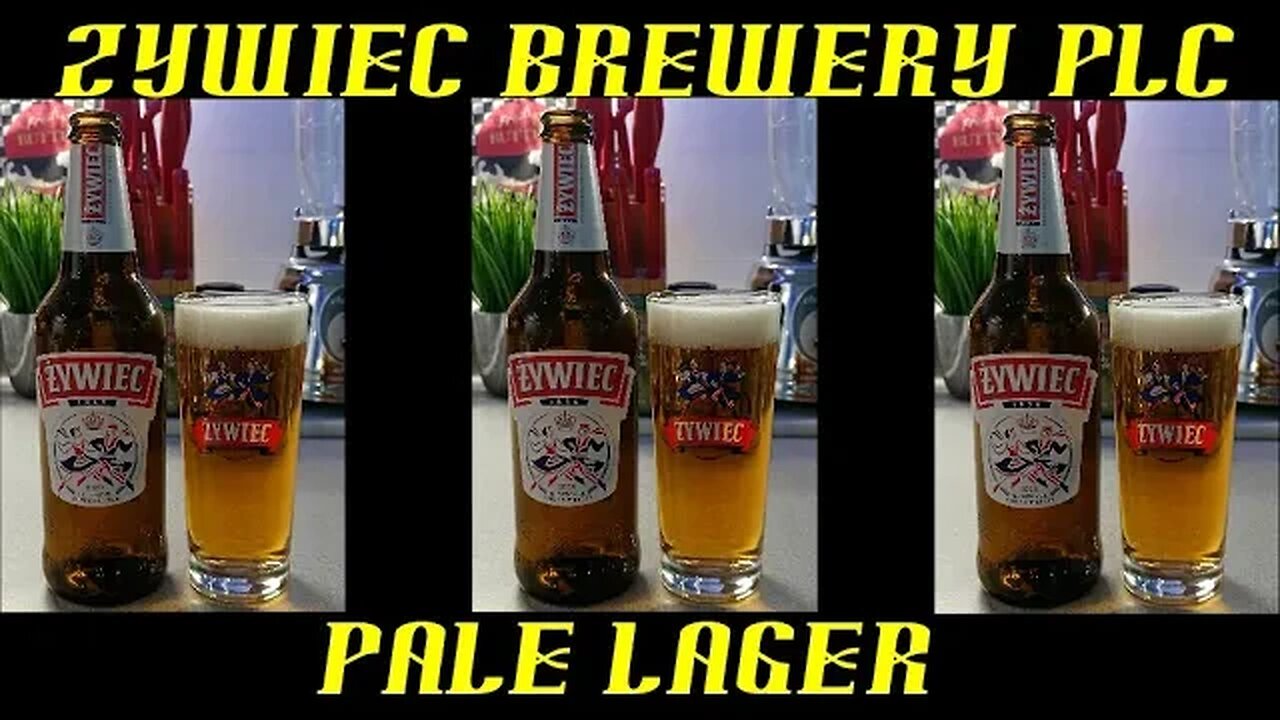 Zywiec Breweries PLC (Heineken) ~ Pale Lager