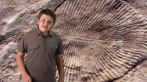The Geologic Column
