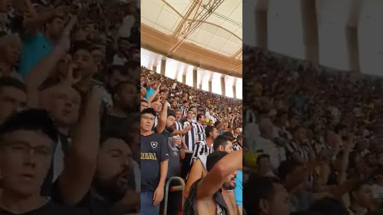 Torcida do Botafogo chamado a do Flamengo de "TORCIDA DE TEATRO"