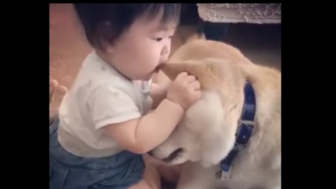 Dog's reaction to the baby..SUPER CUTE..