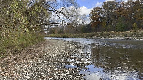 Beautiful Autumn Toronto Sunday 10 degrees