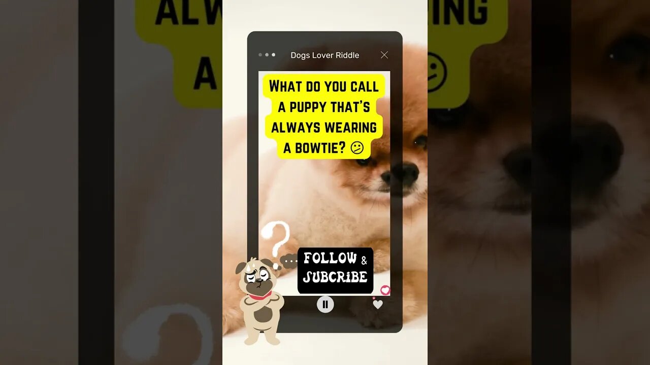 Dogs Riddle | Dogs Riddles in English | Riddles with Answer | Hard riddles | EP 49 #shorts