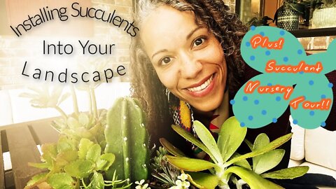 How to install succulents into landscape