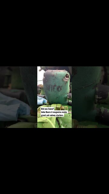 Old John Deere tractor has ants #shorts