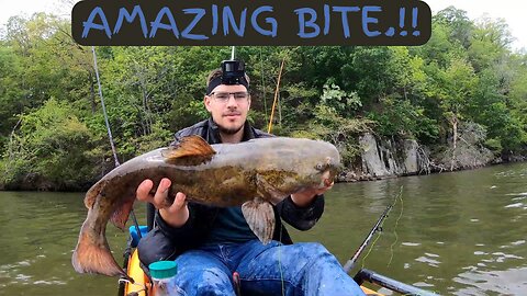 CATFISH MAYHEM DRIFTING WITH CUT BAIT!!! BITE ON FIRE!!!!