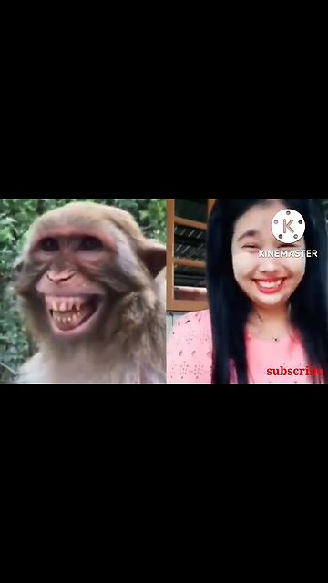 Cute and Funny Animal Video